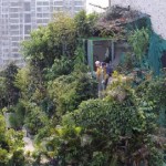 guangzhou illegal structure penthouse treehouse tianhe demolition extra stories