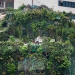 guangzhou illegal structure penthouse treehouse tianhe demolition extra stories