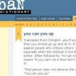 urban dictionary chinese internet slang entries cultural validation