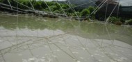 broken water main guangzhou water supply