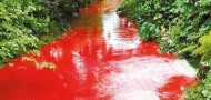 color river boluo county guangdong pollution water