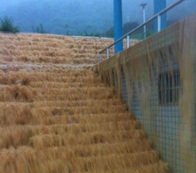 flooding guangzhou rain disaster