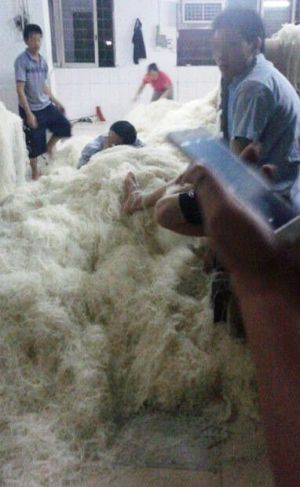 feet vermicelli dongguan factory