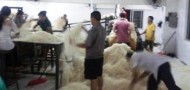 feet vermicelli dongguan factory