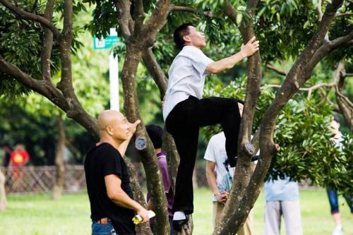 lychee picking tourists shenzhen