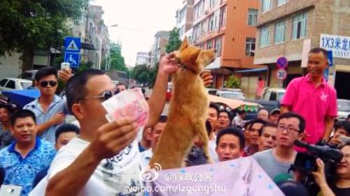 yulin street market dog sellers animal activists