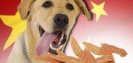 dog food safety scandal chinese imports chicken jerky fda