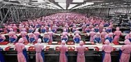 factory workers prd china