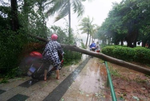 rammasun typhoon china disaster wind rain