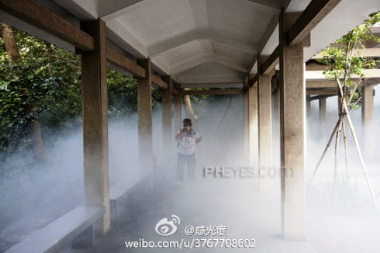 fumigation dengue fever guangdong