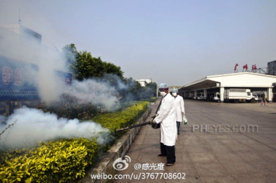 fumigation dengue fever guangdong