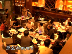 Medium_vineyard1
